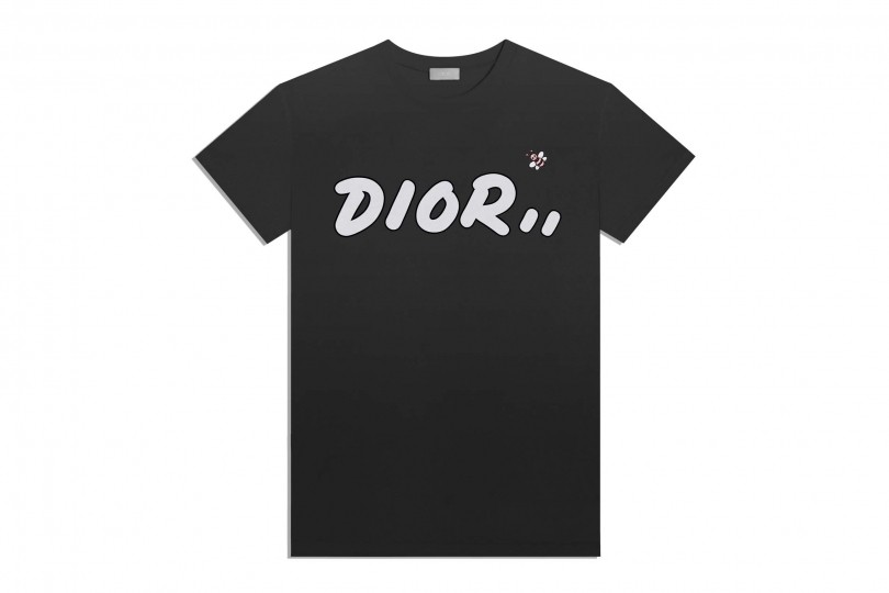 ヤギ 配管 舗装 dior kaws t シャツ - wakeboarder.jp