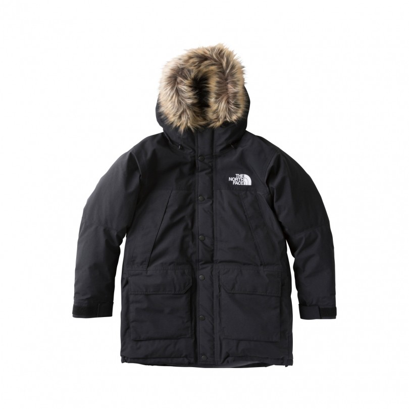 THE NORTH FACE MOUNTAIN DOWN COAT