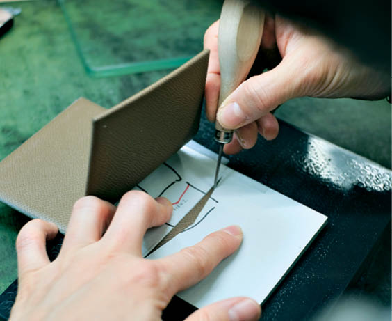 AQUASCUTUM