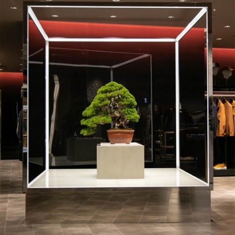 ＜TRADMAN’S BONSAI＞「真柏（Shinpaku/Juniperus Chinensis）」 推定樹齢250年 2,500,000円 (税込) ＊9月17日(土)～9月27日(火)までの展示品です。