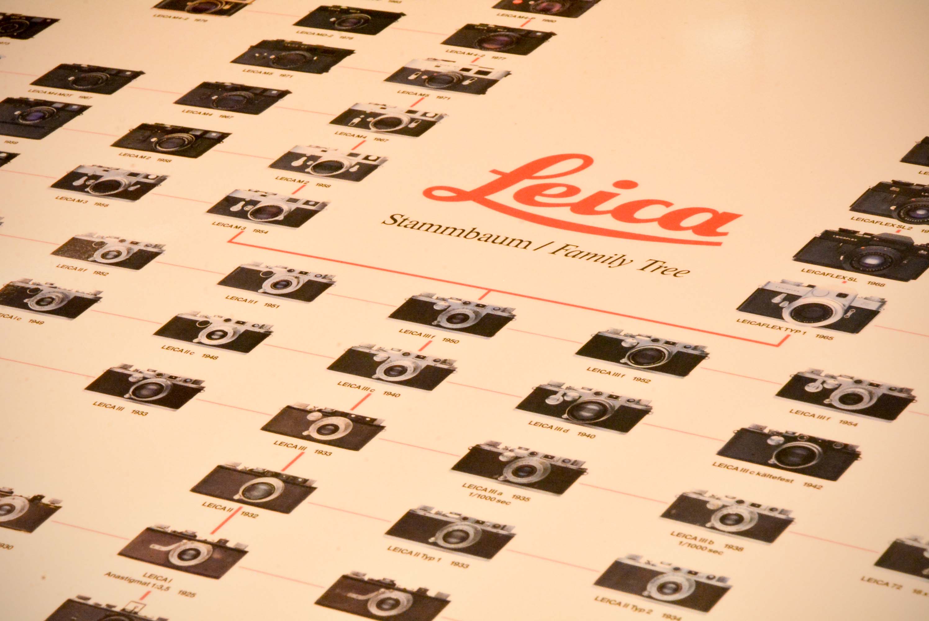 あの画家ヒロ・ヤマガタさんと＜LEICA/ライカ＞が夢のコラボ | ANGEL'S