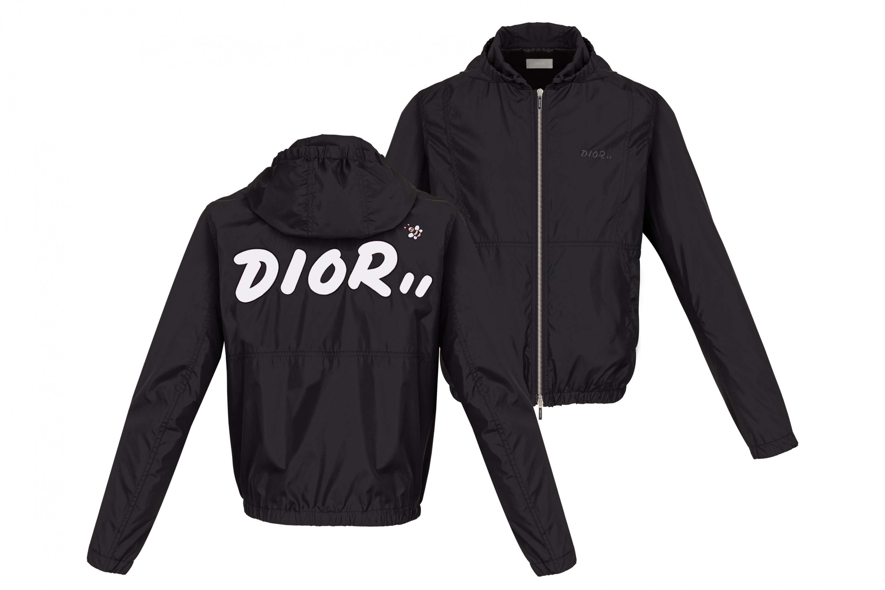 dior kaws jacket