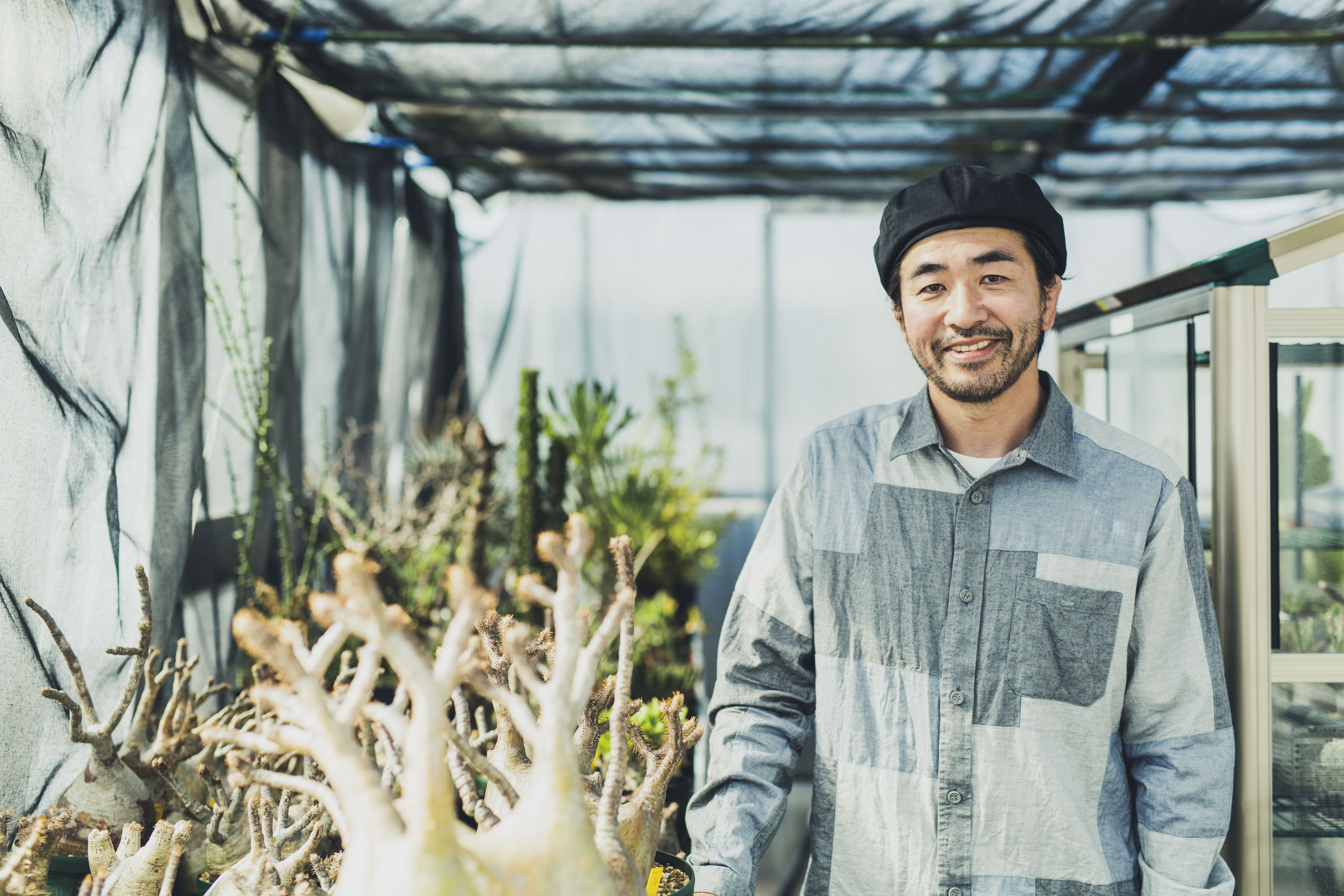 特集】大人がハマる塊根植物、ブームの火付け役「BOTANIZE